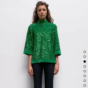 Zara Sequin Top